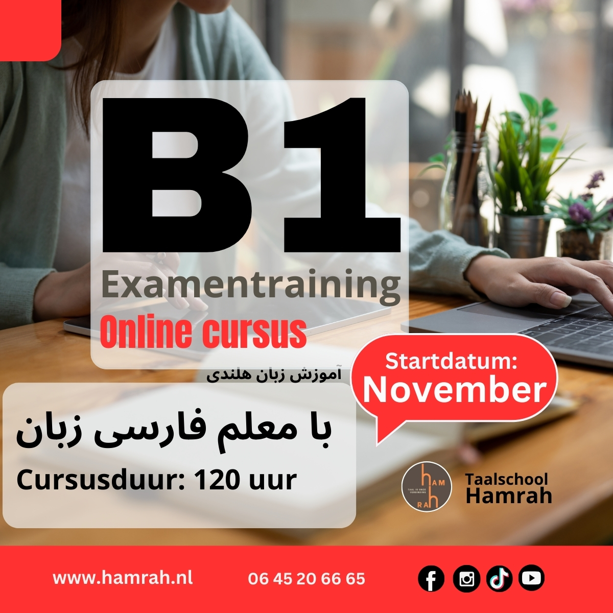 B1 examentraining online cursus