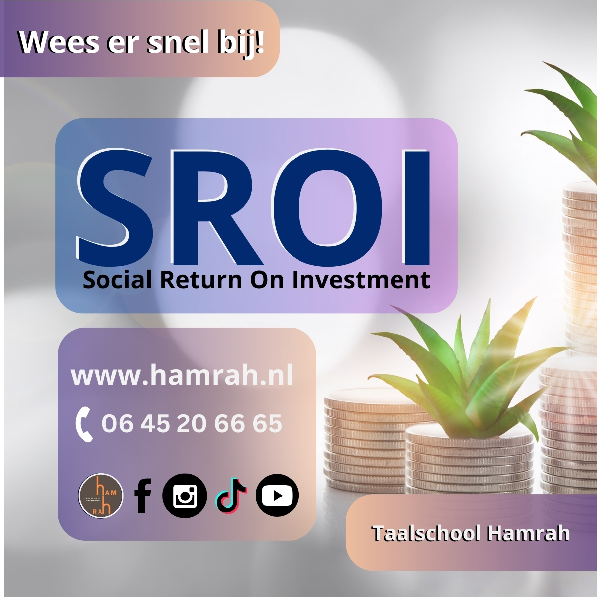 SROI Registratie