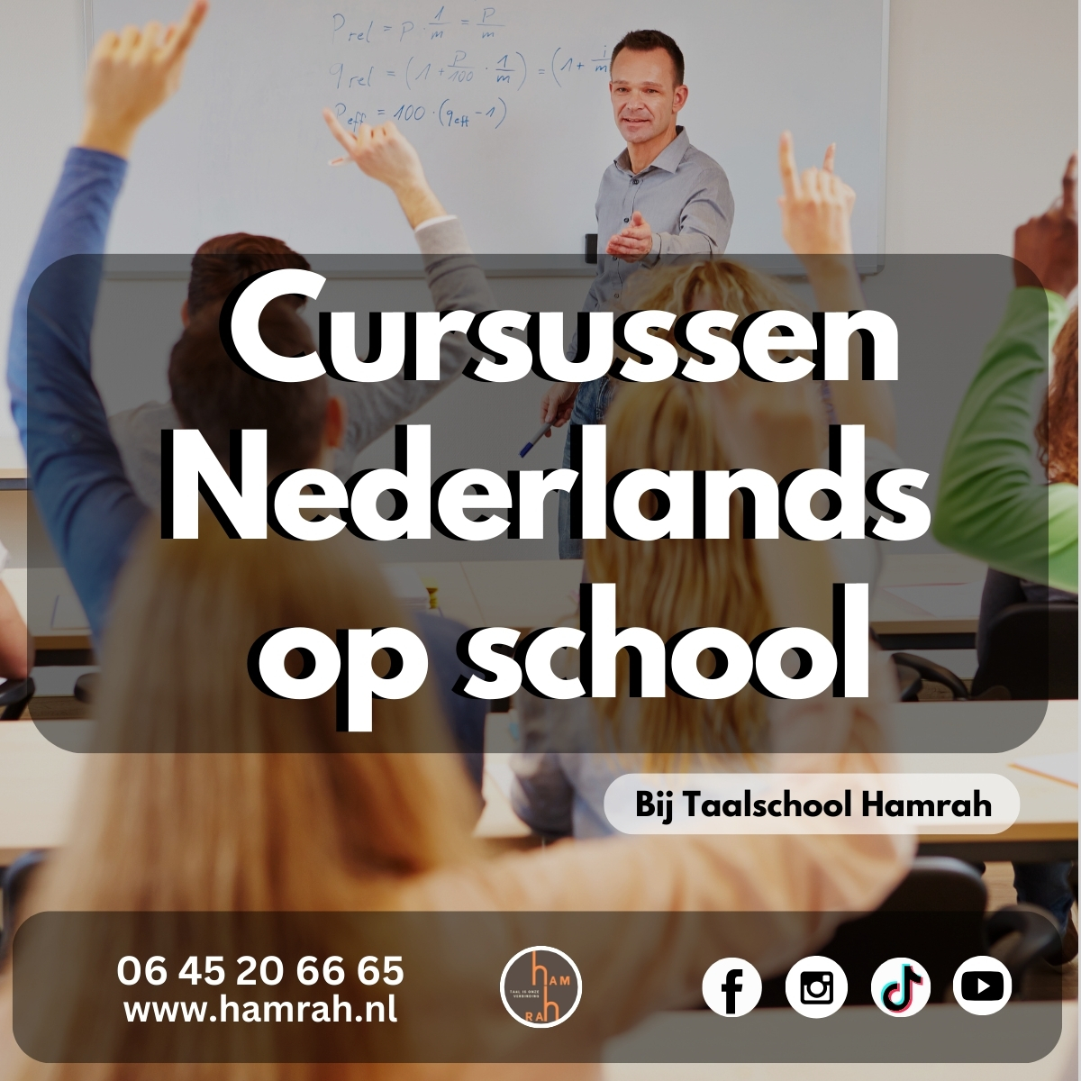 Cursussen Nederlands op school