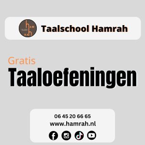 Gratis Taaltraining