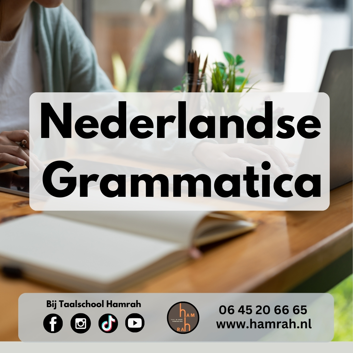 Nederlandse grammatica