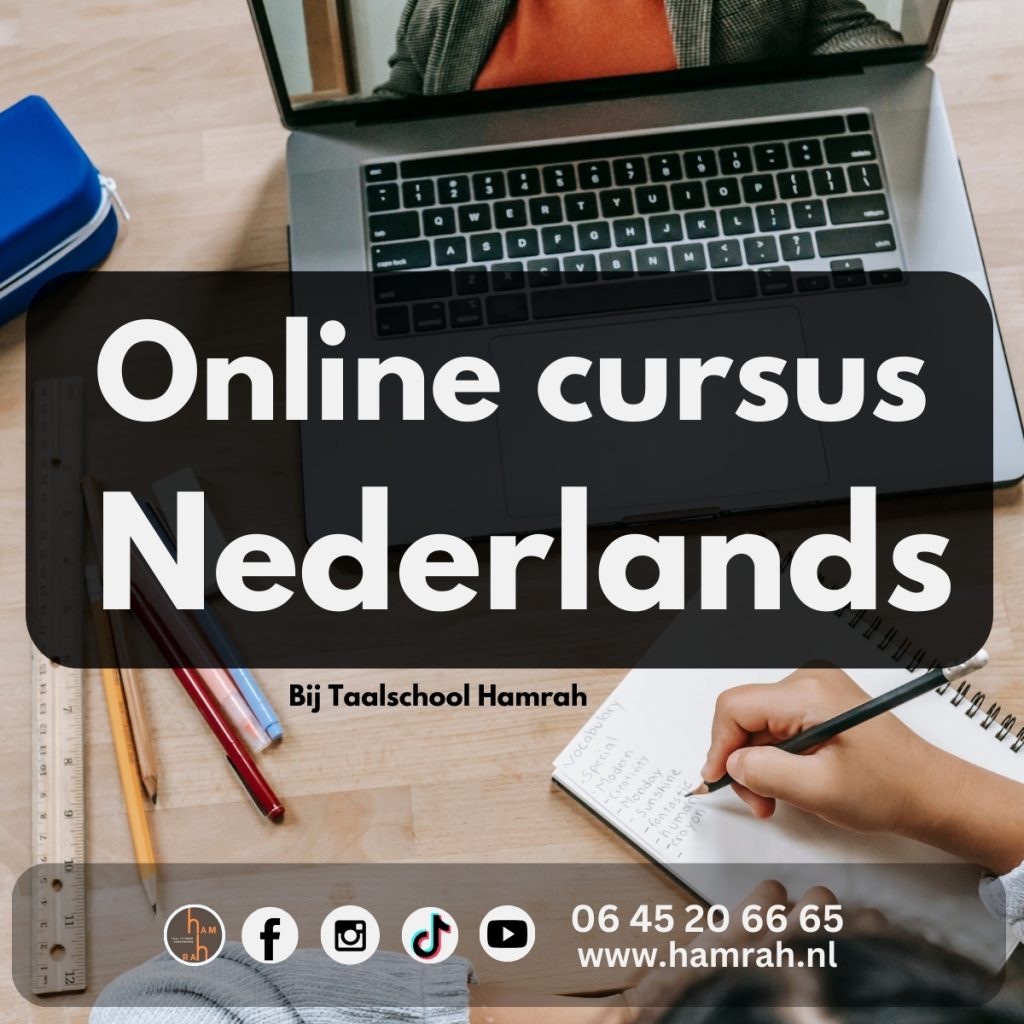 Online Nederlands cursus 