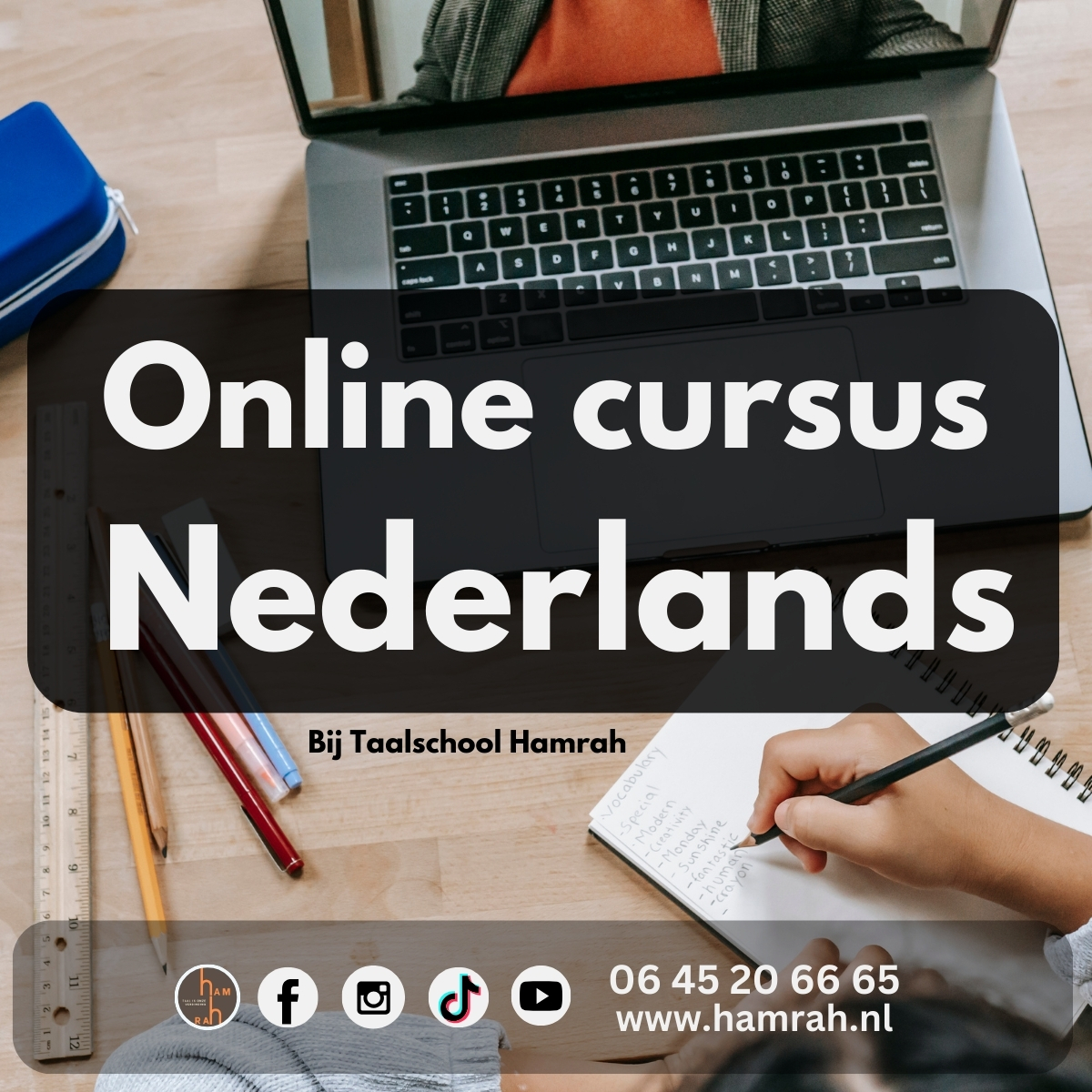 Online Nederlands cursus