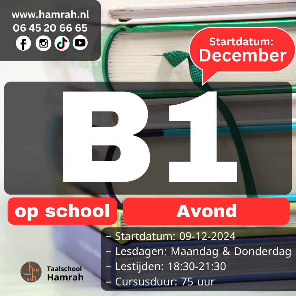 Nederlands B1 avondcursus