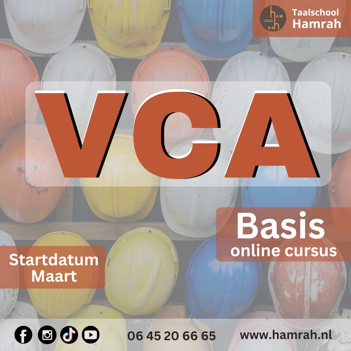 VCA Basis-cursus online