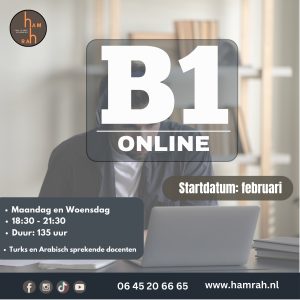 online B1 cursus